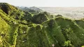 Thumbnail for Where Prosecco gets specific