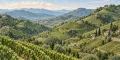 Thumbnail for Where Prosecco gets specific