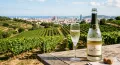 Thumbnail for What I Look for on a Cava Label