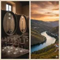 Thumbnail for Port and the Douro: Book Notes