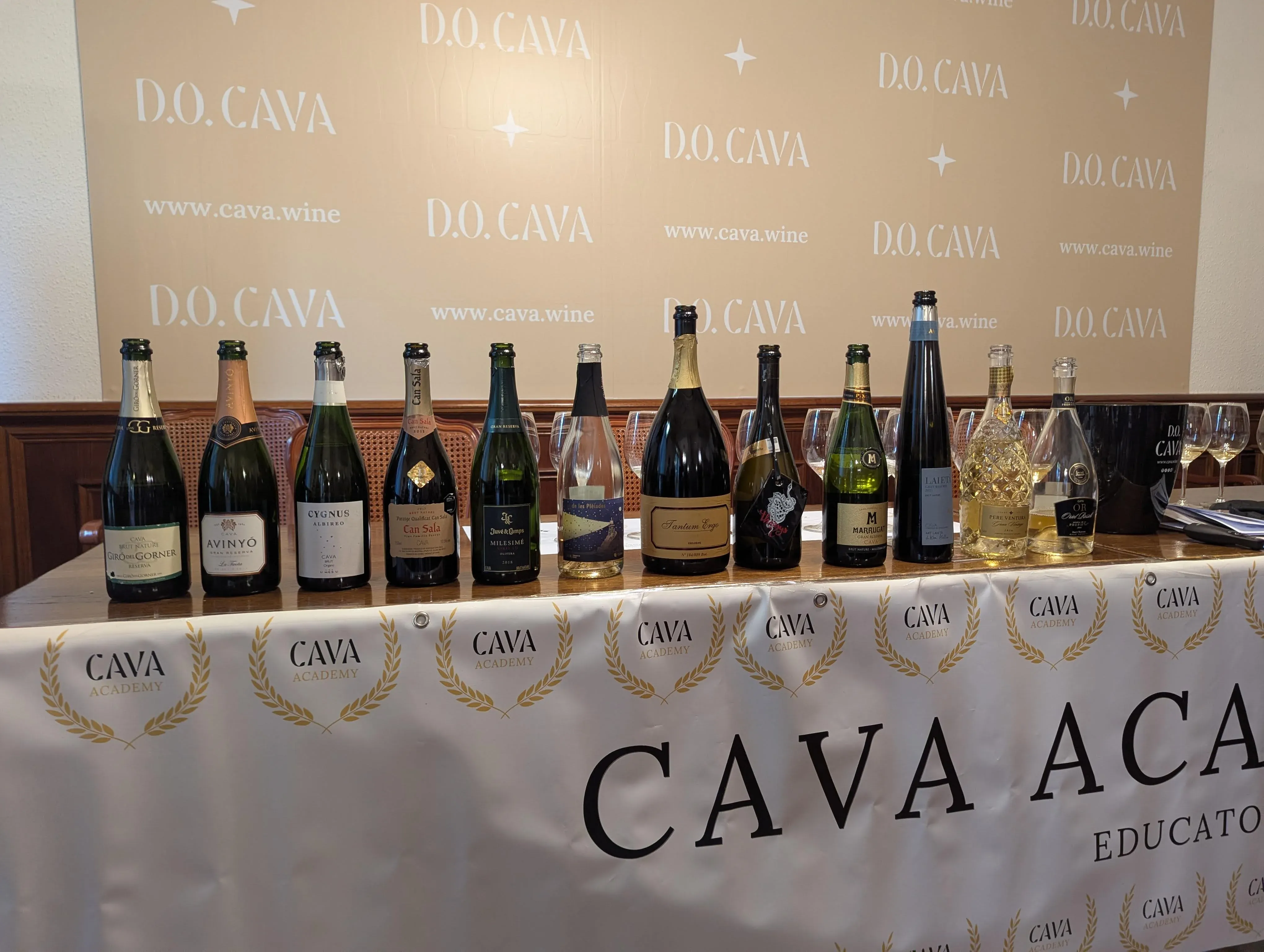 Cava tasting session